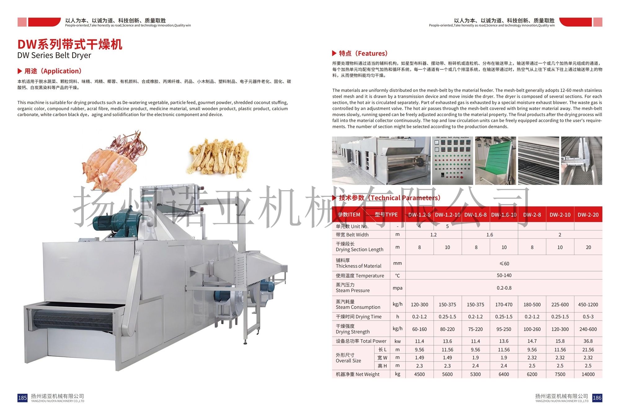 DW Series Belt Dryer