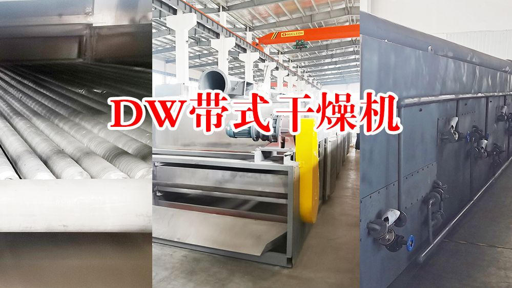 DW 带式干燥机