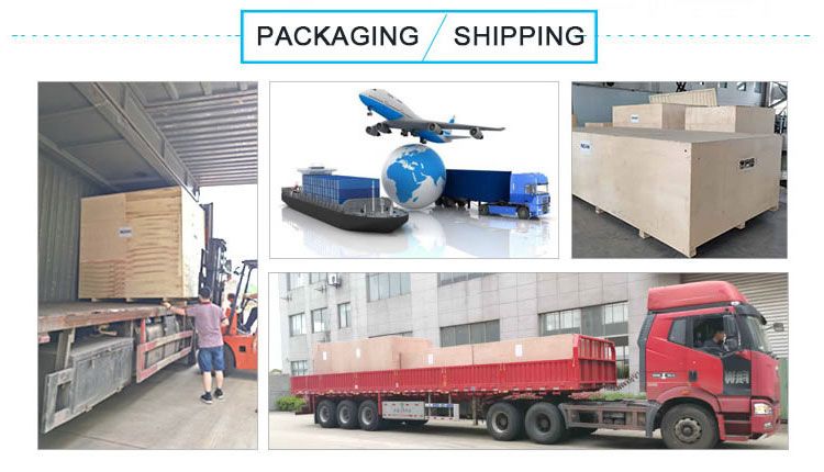 GLG系列颗粒包装机