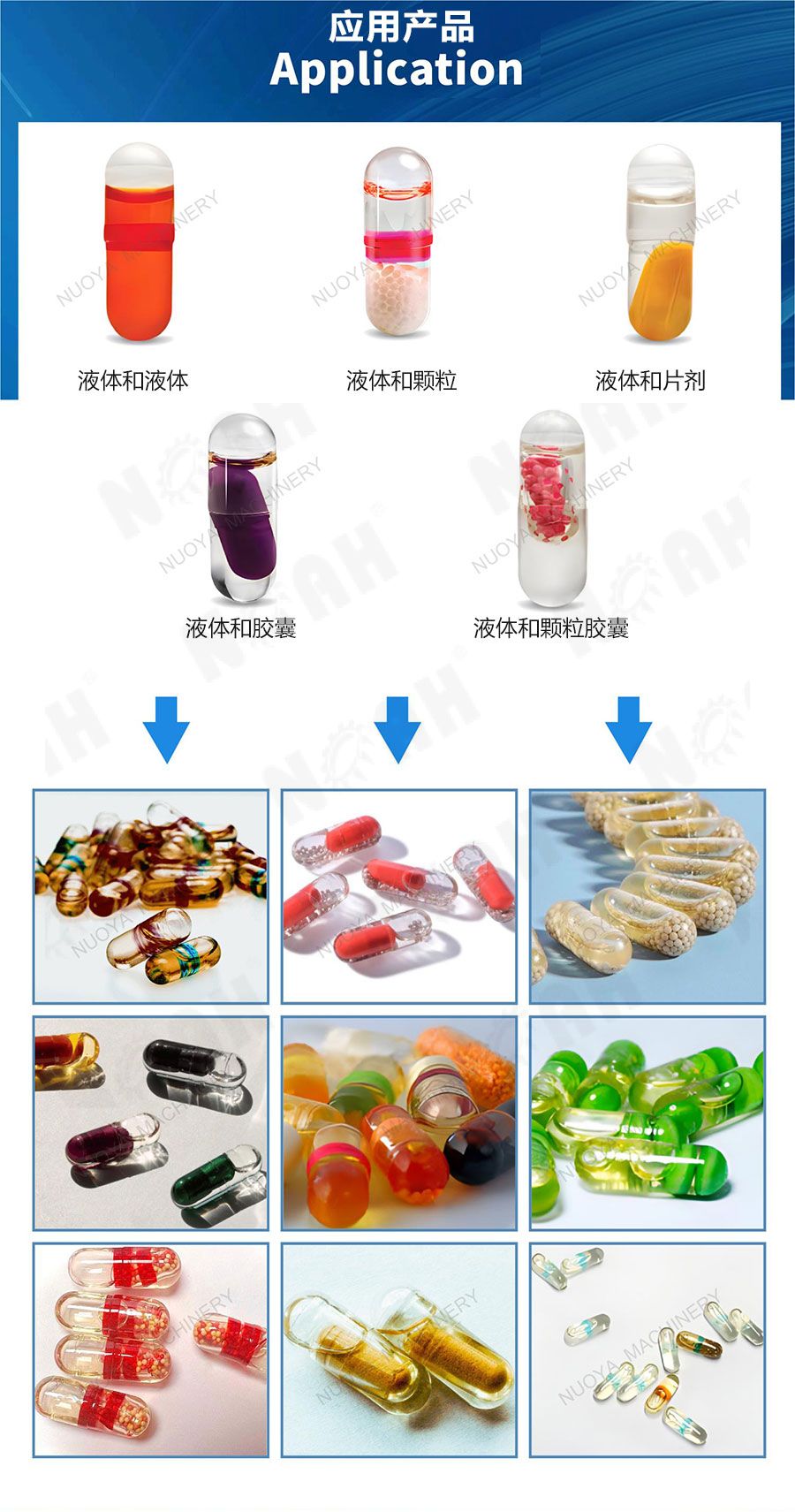 NJP-300自动硬胶囊充液封口机 NJP-300自动硬胶囊充液封口机